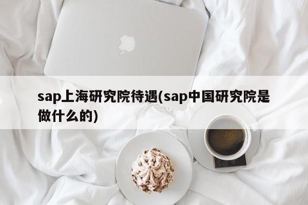 sap上海研究院待遇(sap中国研究院是做什么的)